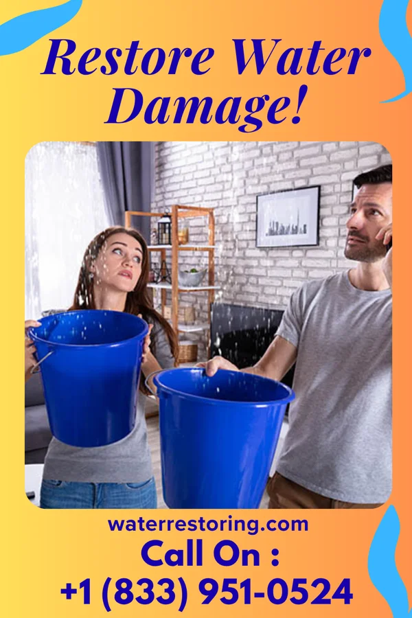 water restoration Pacific Water Mitigation Force Allenhurst