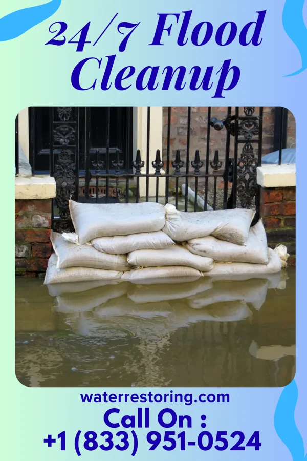 24/7 Flood Cleanup in Allenhurst, NJ