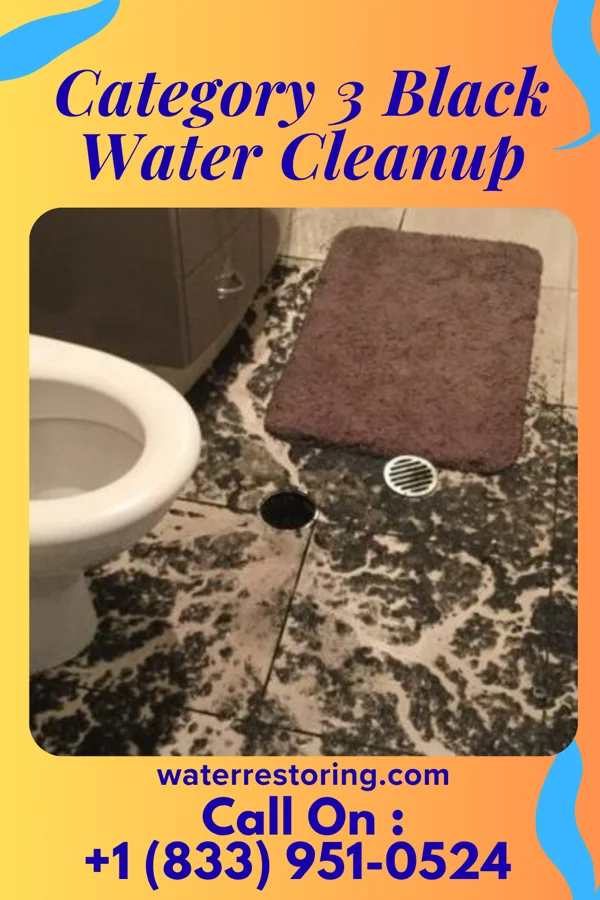Category 3 Black Water Cleanup in Allenhurst, NJ
