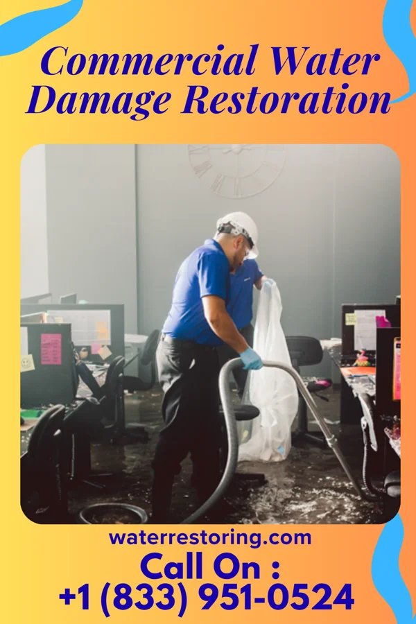 Commercial Water Damage Restoration in Allenhurst, NJ
