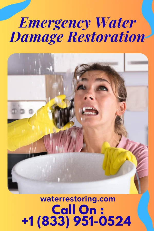 Emergency Water Damage Restoration in Allenhurst, NJ