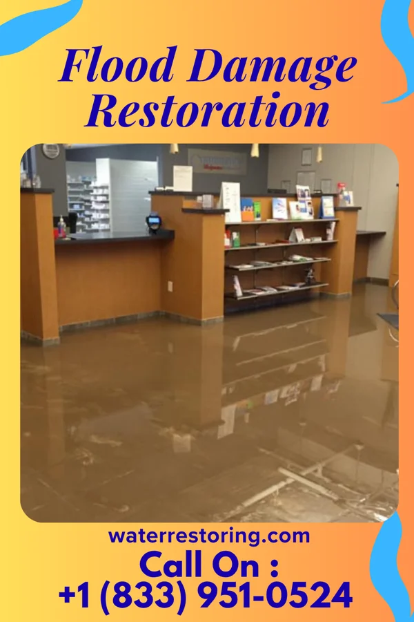 Flood Damage Restoration in Allenhurst, NJ