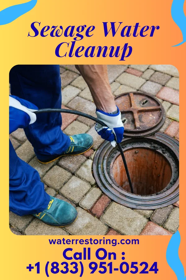 Sewage Water Cleanup in Allenhurst, NJ
