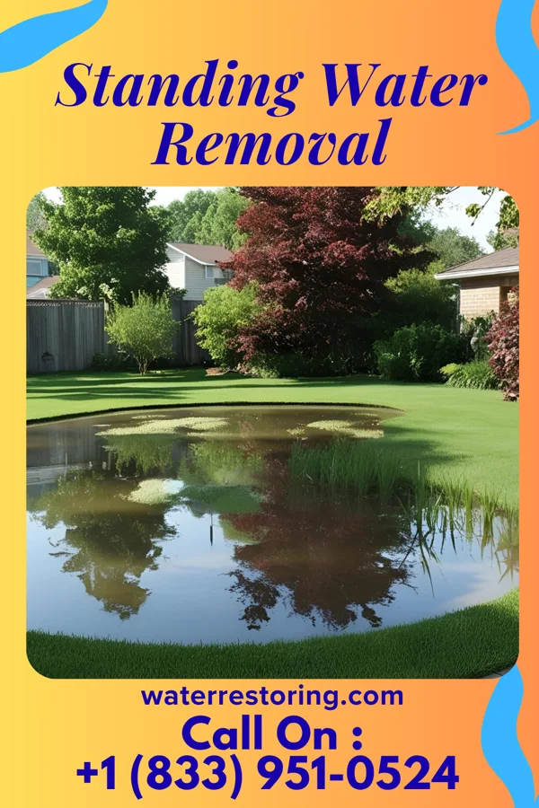 Standing Water Removal in Allenhurst, NJ